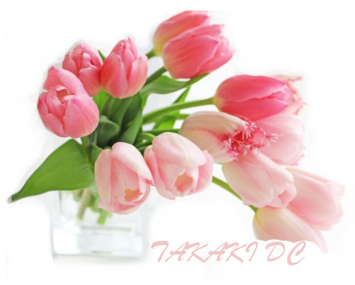 ���؂c�b���̃y�[�W�g�b�v�摜